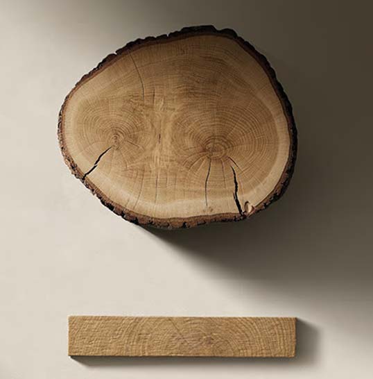 Anneaux du bois, inspiration pour le carrelage en relief Coupe transversale d’un tronc révélant les anneaux du bois, source d’inspiration pour une céramique architecturale en relief