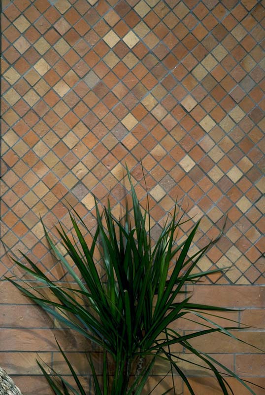 Modularité et richesse des formats en terre cuite artisanale Mur en carreaux de terre cuite modulaires aux nuances naturelles posé en mosaïque diagonale avec plante décorative au premier plan